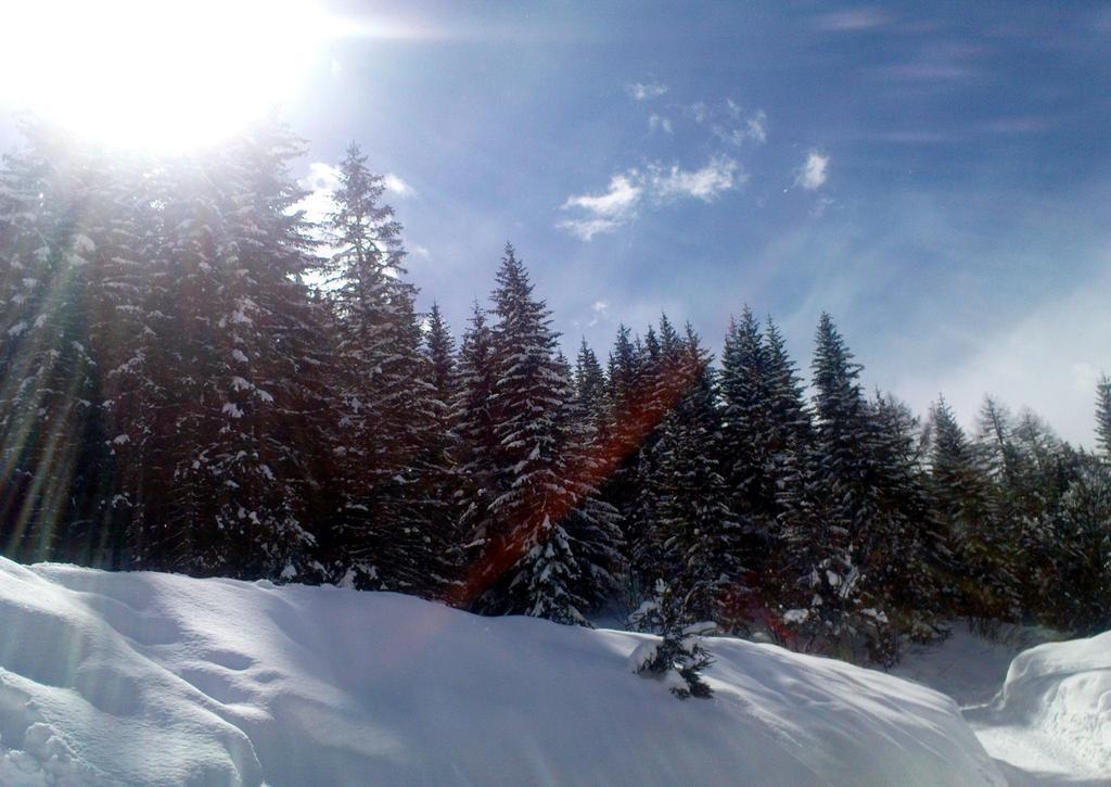 Alpenhäuser Marcius Sonnenalpe Nassfeld Exterior foto