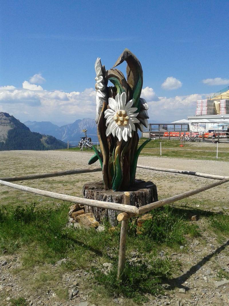 Alpenhäuser Marcius Sonnenalpe Nassfeld Exterior foto